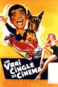 Affiche du film "Un vrai cinglé de cinéma"